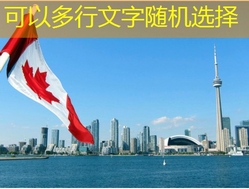 几内亚比绍护照移民办理：低成本撬动全球出行的新钥匙